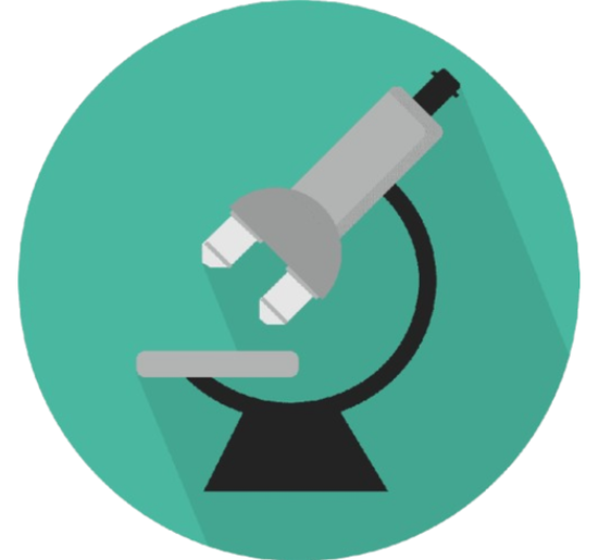 Captura de pantalla 2026 04 04 003137