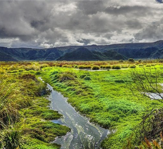 Captura de pantalla 2026 04 04 153730