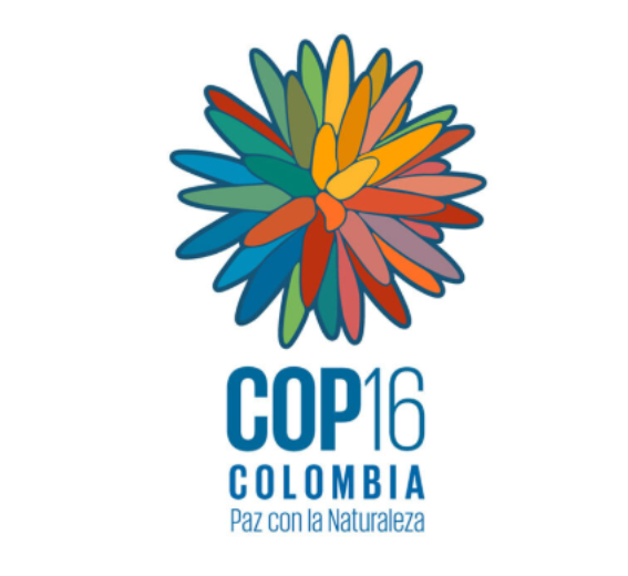 Captura de pantalla 2026 04 04 163605