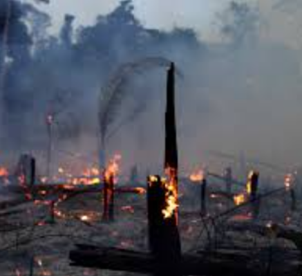 Captura de pantalla 2026 04 09 230417