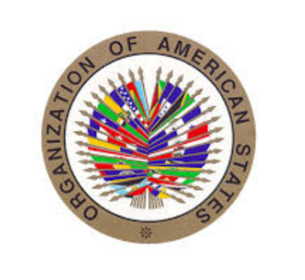 Captura de pantalla 2026 04 09 230757