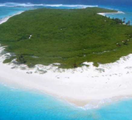 Captura de pantalla 2026 04 09 231143