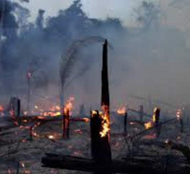 Captura de pantalla 2026 04 11 151225