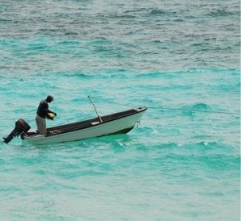 Captura de pantalla 2026 04 11 185556