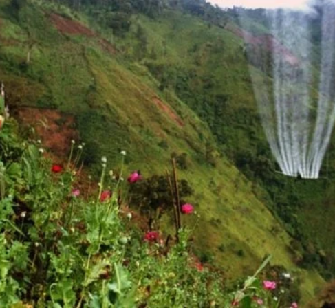 Captura de pantalla 2026 04 11 185628