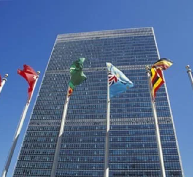 Captura de pantalla 2026 04 12 204037